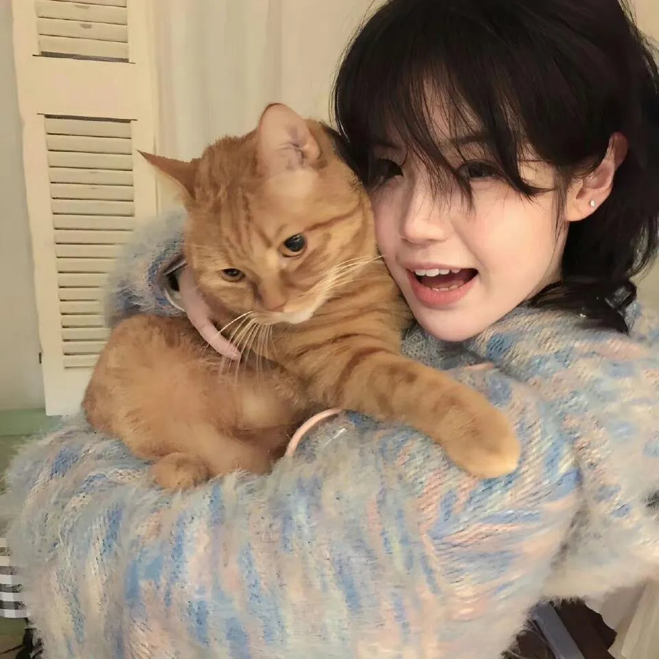 少年骇客：异形群体